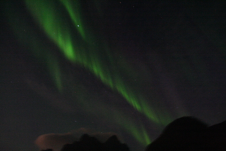 Polarlichter im Trollfjord