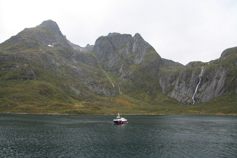 auf dem Weg mit der MS Trollfjord in den Trollfjord, Ausflugsboot der Seeadlersafari
