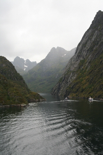 Hier geht's in den Trollfjord, die beiden Seeadlersafariboote voraus.
